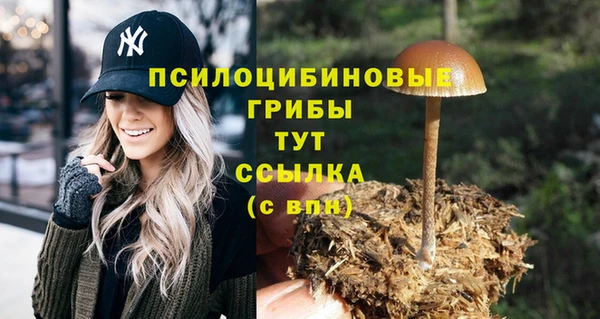 COCAINE Абаза