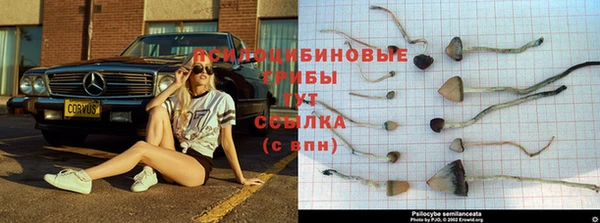 дурь Алексин