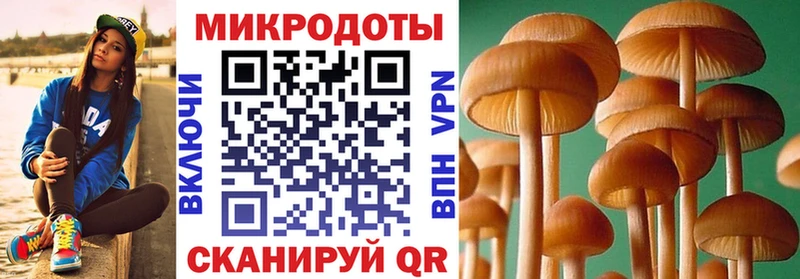 Галлюциногенные грибы ЛСД  ссылка на мегу сайт  Ермолино 